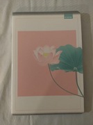 Zeszyt W Kratkę Beniamin 60 Kartek 