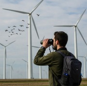 Ekspertyzy przyrodnicze: Ptaki i Nietoperze – ornitolog Szczecin i okolice