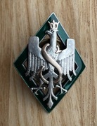 ODZNAKA 5 DYWIZJI STRZELCÓW POLSKICH SYBERYJSKICH 