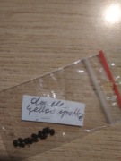 ciemiernik pojedynczy kwiat helleborus yellow spotted 10 nasion