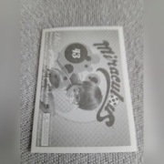 Miraculous Panini naklejka 43