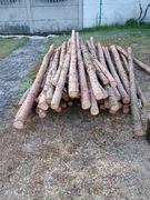 Stemple sosnowe ogrodzeniowe budowlane 