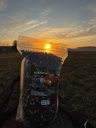 Mix peletów KarpR 4-6mm 1KG