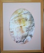 Twarz Kobiety - obraz  - pastela 