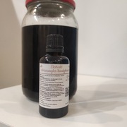 Ekstrakt z bluszczyka kurdybanka 50 ml