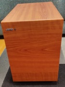 Jamo SUB 200 | Jasne Drewno | Stan BDB | Aktywny 200W