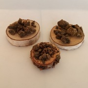 Propolis pszczeli kit świeży bezpośrednio