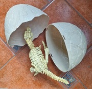 Szkielet dinozaura z jajkiem Robo Alive Dino Zuru