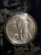 ELEPHANT-Expressions of Wildlife