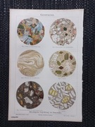 Skały - chromolitografia 1897 r.