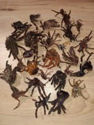 Mix wylinek ptaszniki DIY hobby prace plastyczne 