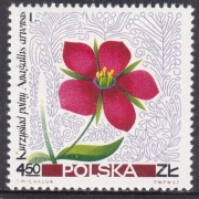 FI 1634-42** 1967 rok. 1641 LUZAK