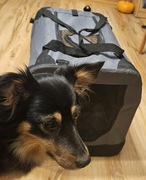 Transporter dla psa torba składana 60x42x43