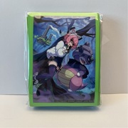 Koszulki na karty Pokemon TCG Klara