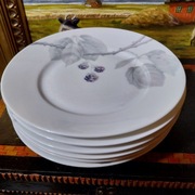 Rosenthal zdobienie jeżyna sześć talerzyków deserowych