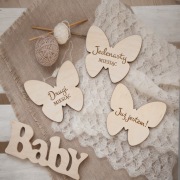 Tabliczki do zdjęć na pierwszy rok życia dziecka - motylki 