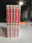 Tokyo Mewmew (1-5) - manga, zestaw, po polsku 