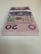 20 złotych 1994 rok seria zastepcza YE