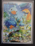 Ducklett Illustration rare - White Flare WHT