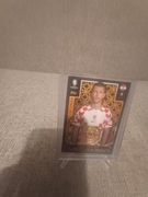 Topps match attax euro 2024 Ivan perisic relic 