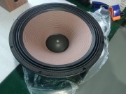 Głośnik Basowy Lii Audio W-21