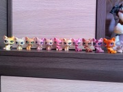 LPS Littlest pet shop koty zestaw