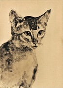 KOTEK tusz karton 23x17cm KOT 