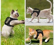 Kamizelka Taktyczna dla kota