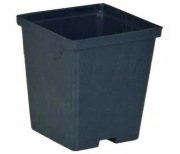 Doniczki P 7 o wymiarach 7x7 - 50 szt.