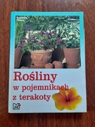 Rośliny w pojemnikach z terakoty.