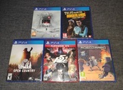 PERSONA 5 ROBOZARRO TALES FROM BORDERLANDS FADE TO SILENCE OPEN COUNTRY PS4