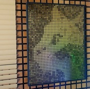 Obraz z monet jednogroszowych „Kot” – rękodzieło unikatowe