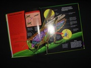 Świat Owadów - album / oferta z foto'opisem (3)