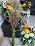 Trawa Pampasowa . Dekoracje suszone 