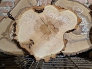 AKACJA ROBINIA 50/43/9 cm Po Suszarni Blat Plaster Drewna Stolik DIY Suchy