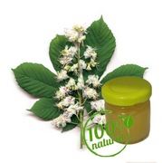 Maść z kwiatów Kasztanowca 