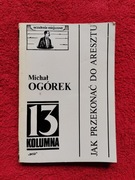 Jak przekonać do aresztu – Michał Ogórek