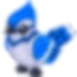 Blue Jay Adopt Me AM