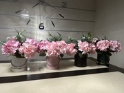 Boxy kwiatowe w 4 kolorach 