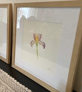 Dwa oryginalne obrazy w ramkach - akwarele roślinne botaniczne