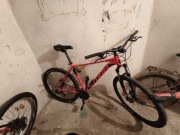 Rower Storm Shark 1.0 koła 29 cali