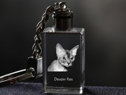 Devon Rex brelok sześcienny Świecący