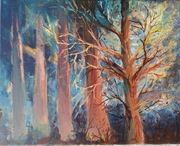 Obraz - akryl, 40x50cm, wieczór w lesie