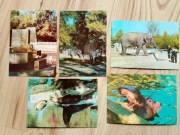 Pocztówki : ZOO Warszawa 1969 r 5 sztuk