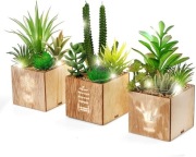 BEGONDIS Sztuczne sukulenty LED w skrzynce – zestaw 3 szt.