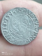 Grosz Albrecht 1545 rok stan na foto 