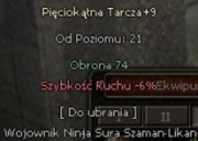 EQ Polska Metin2 Pięciokątna Tarcza +9