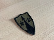 Naszywka - US Army - European Command Zone (OD Subdued)