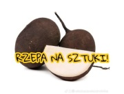 Rzepa czarna organiczna uprawa Smart
