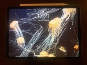 iPad Pro 11 2. generacji + Pencil 2. generacji 